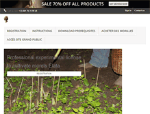 Tablet Screenshot of francemorilles.com